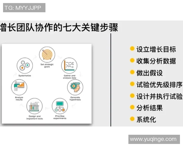 北京飞盘队团队协作表现的数据分析与策略探讨