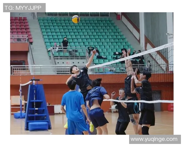 上海排球队团队协作的力量与魅力探讨