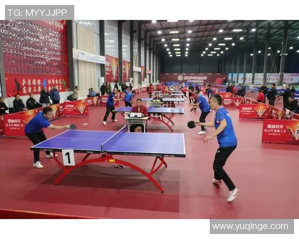 深圳乒乓球队状态分析与未来展望聚焦乒乓球发展新机遇